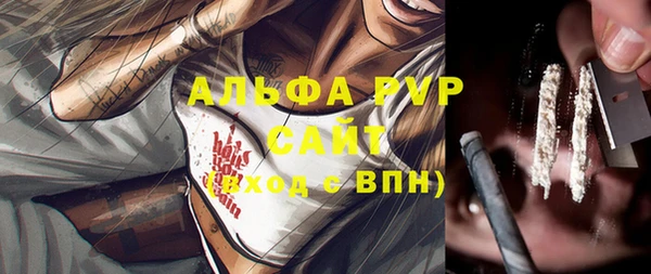 винт Гатчина