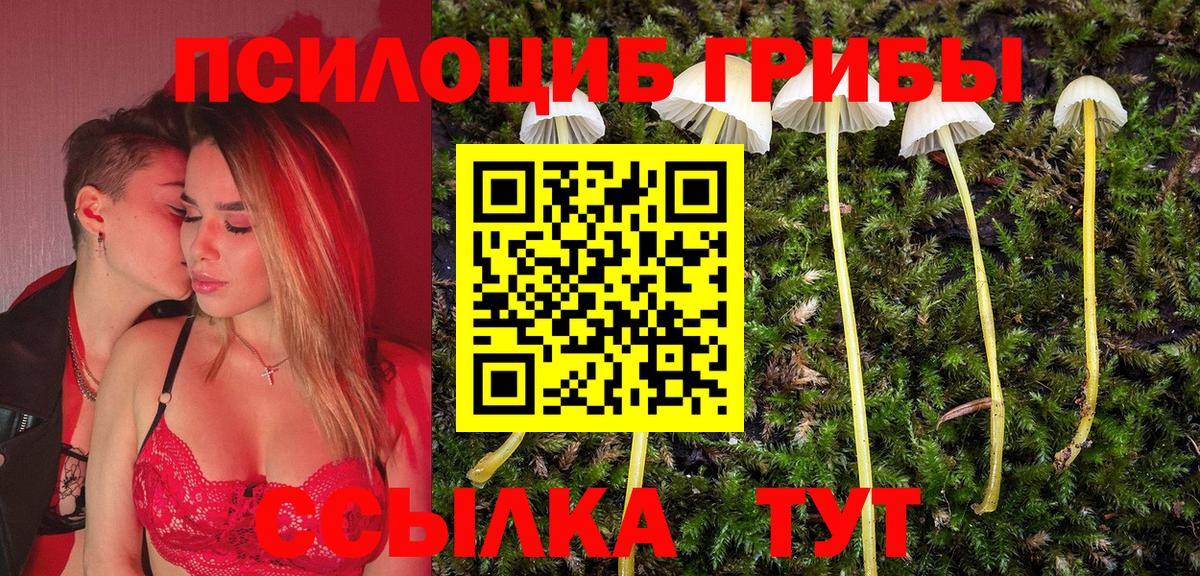 Псилоцибиновые грибы мухоморы  Вход с VPN  Галлюциногенные грибы Cubensis  Светлоград 