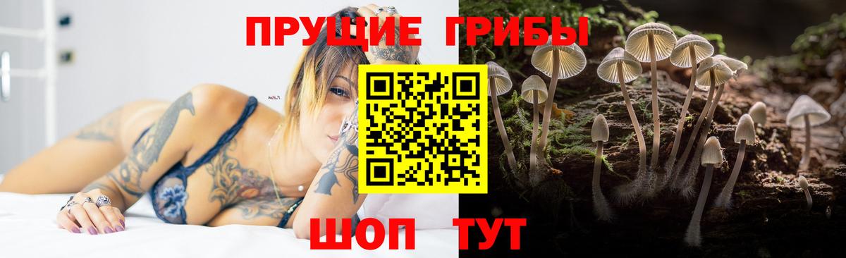Галлюциногенные грибы Cubensis  Галлюциногенные грибы Cubensis  Светлоград 