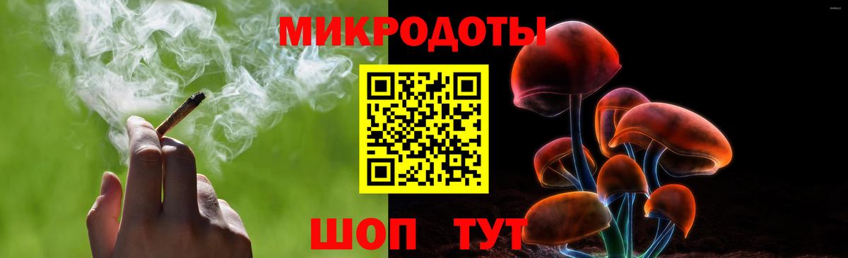 Галлюциногенные грибы Psilocybine cubensis Светлоград